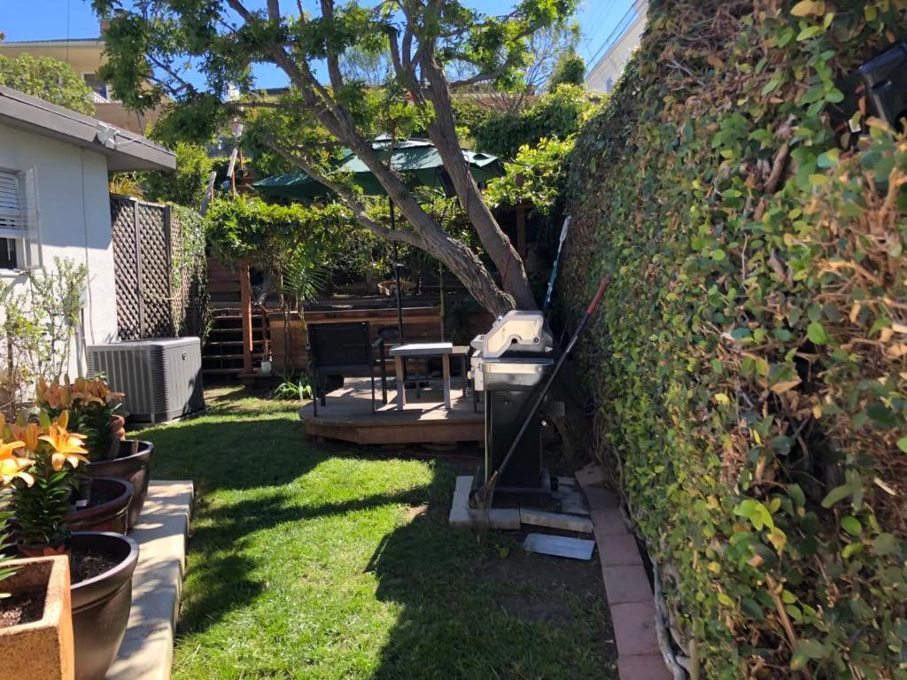 Overlooking Marina Del Rey Sailboats, Is Green Ginger Playa Del Rey On The Bluff, *