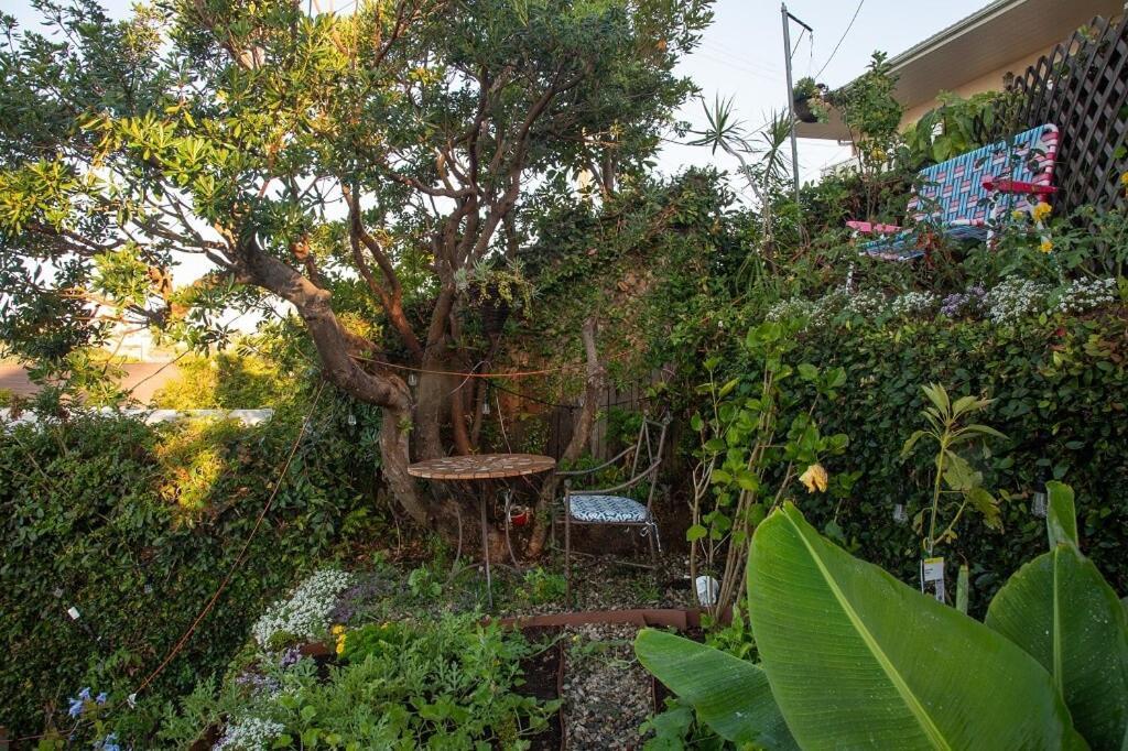 Affittacamere Overlooking Marina Del Rey Sailboats, Is Green Ginger Playa Del Rey On The Bluff,