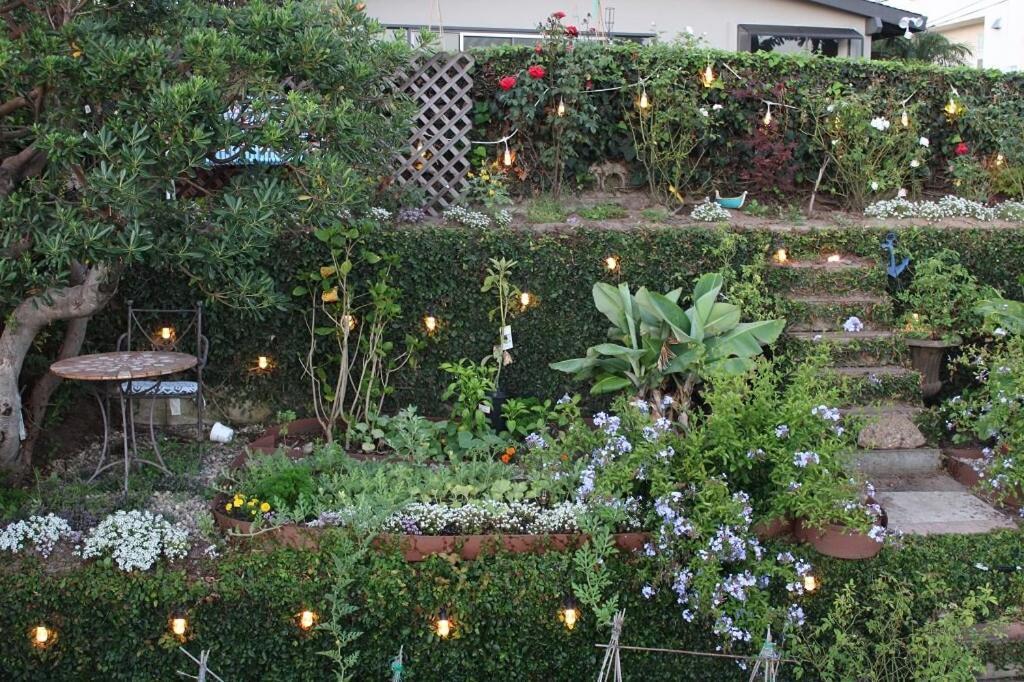 Overlooking Marina Del Rey Sailboats, Is Green Ginger Playa Del Rey On The Bluff, *