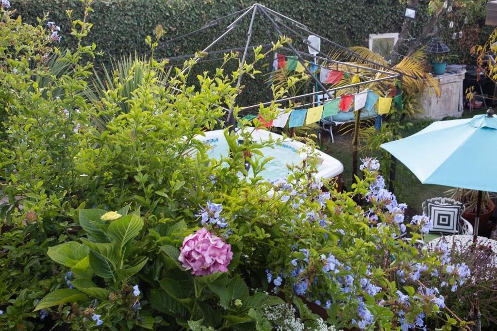 Overlooking Marina Del Rey Sailboats, Is Green Ginger Playa Del Rey On The Bluff,