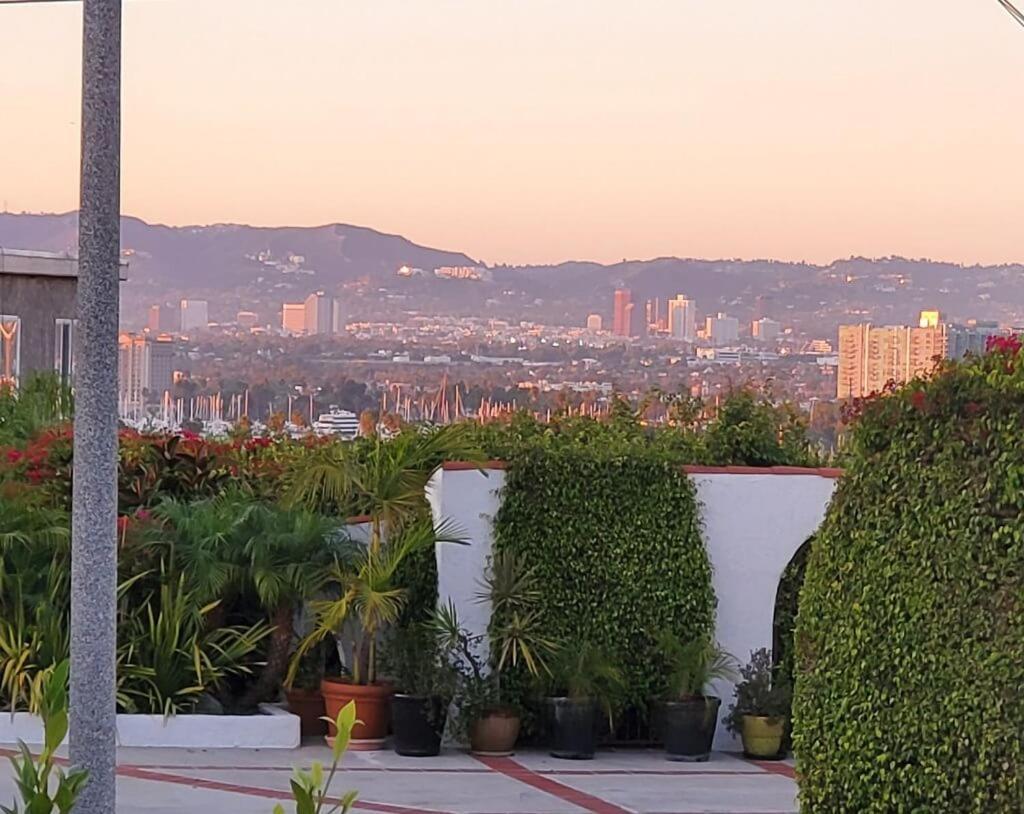 Overlooking Marina Del Rey Sailboats, Is Green Ginger Playa Del Rey On The Bluff, * Los Angeles